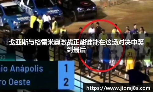 mk体育官网登录平台